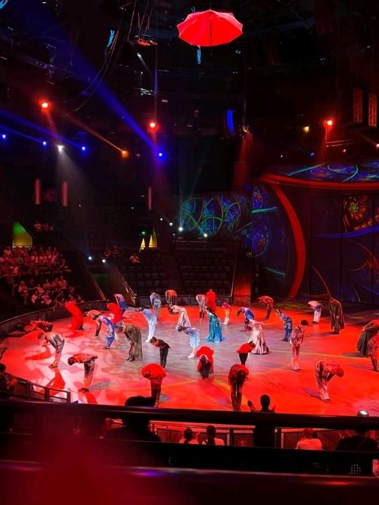 best attraction for china transit in shanghai