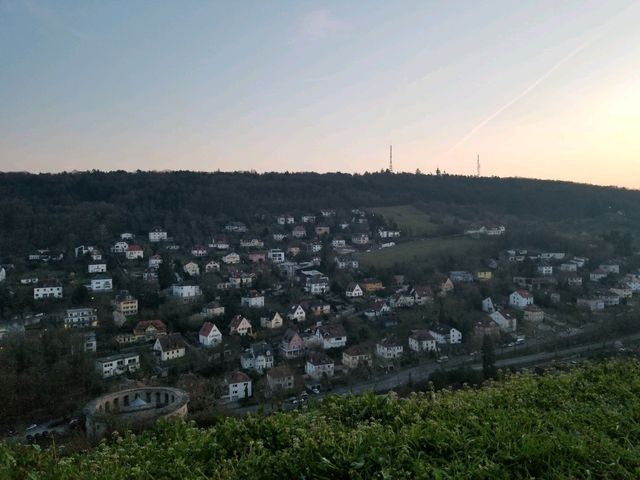 [🇩🇪ヴュルツブルク] マリエンベルク要塞から眺める歴史と絶景