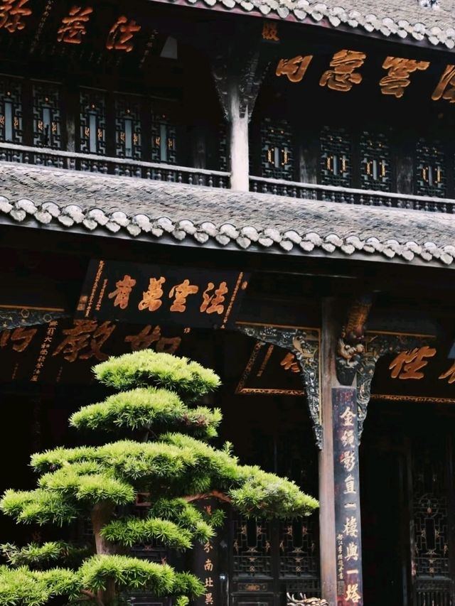 Stylish Stay in Chengdu
