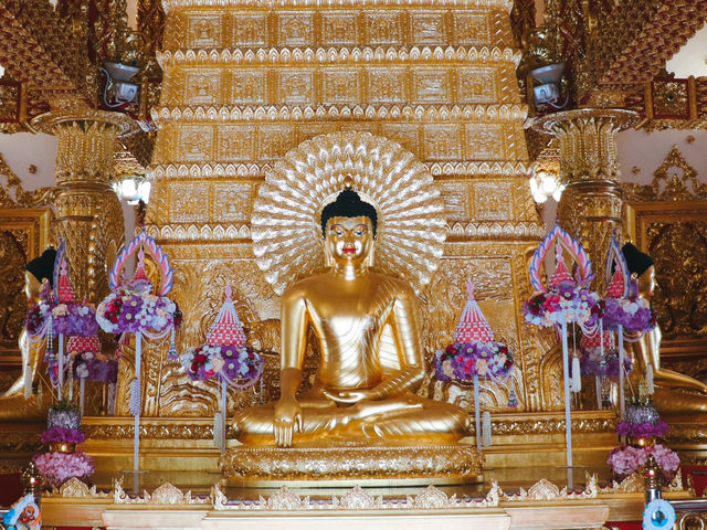 วัดพระธาตุหนองบัว