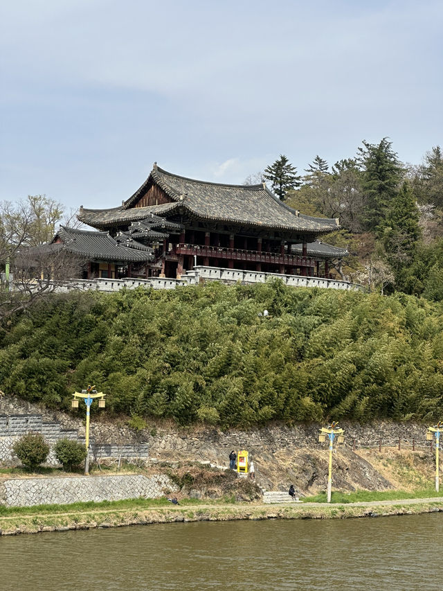 🏯 밀양의 대표 명소, 영남루에 방문하다! 🏯