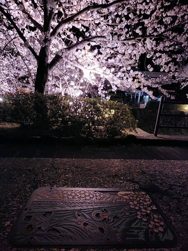 【山口グルメ】一の坂川・ラセーヌ