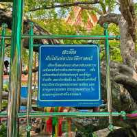 ไหว้พระ วัดลุ่มมหาชัยมงคล จ.ระยอง