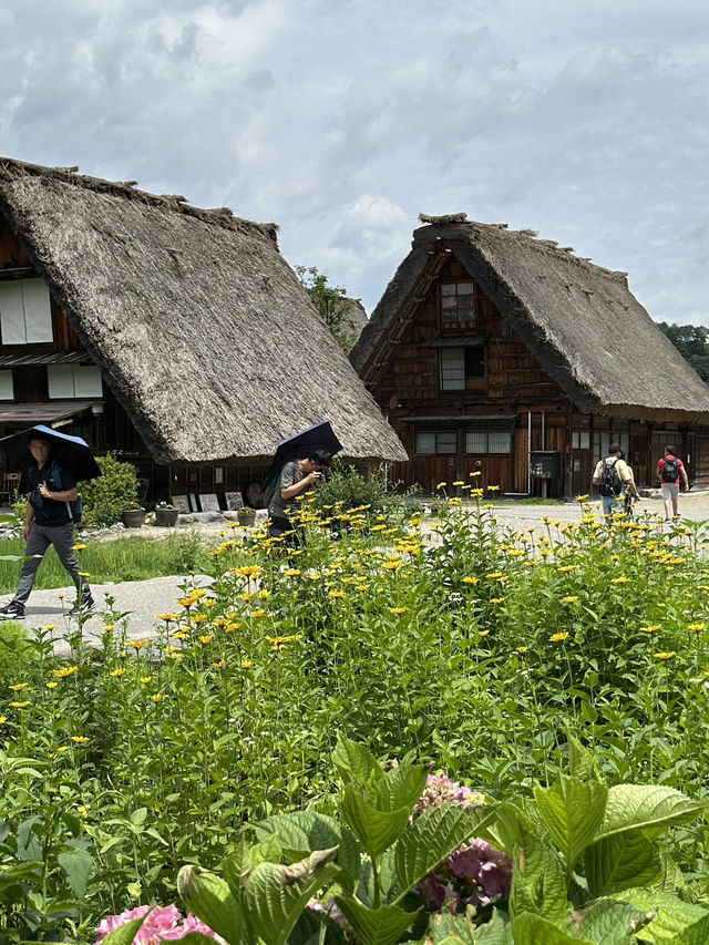 まるで昔話の世界！白川郷で四季の絶景タイムスリップ体験