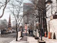 Seoul Through my Eyes