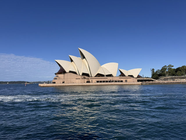 Trip in Sydney