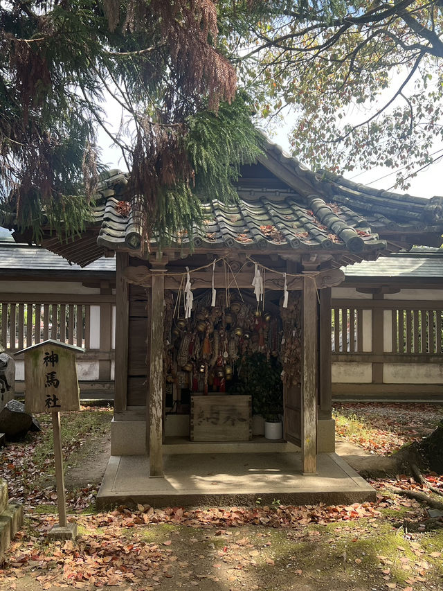 日本四國