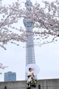 🌸✨ A Spring Day Among Cherry Blossoms at Sumida Park ✨🌸