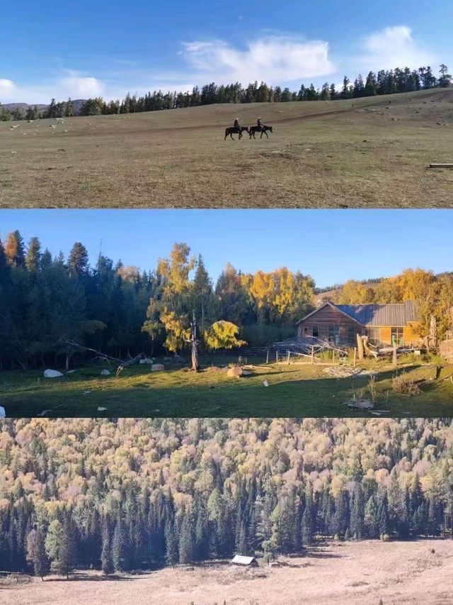 Northern Xinjiang: Where Nature Paints Without Limits