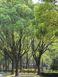 Xujiahui Park– Shanghai’s Urban Oasis with a Musical Twist
