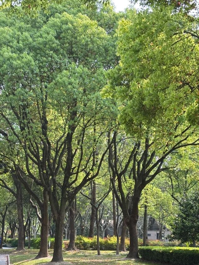 Xujiahui Park– Shanghai’s Urban Oasis with a Musical Twist