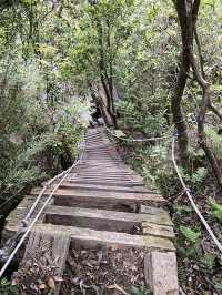 新店第一高峰-獅仔頭山｜古道遺跡探險路線推薦！