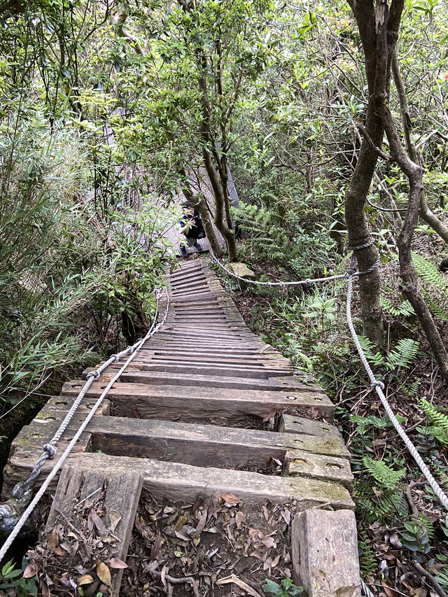新店第一高峰-獅仔頭山｜古道遺跡探險路線推薦！