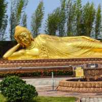 Vihara Dharma Shanti: A Peaceful Retreat
