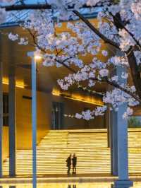 Liangzhu Arts & Culture Center Cherry Blossoms – Where Modern Art Meets Sakura Serenity