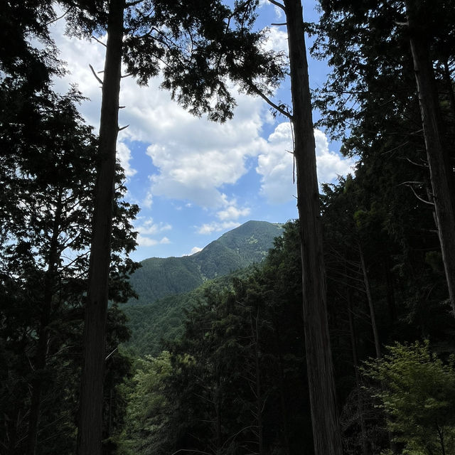 【局ヶ岳】⛰️ まつさかイレブン