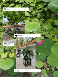 很舒適，很寫意的一個散步🚶‍♀️公園