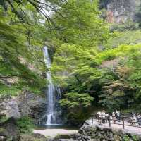 箕面瀑布（Minoh Falls）