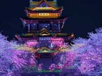 Best night Sakura - Guess where (Not japan)