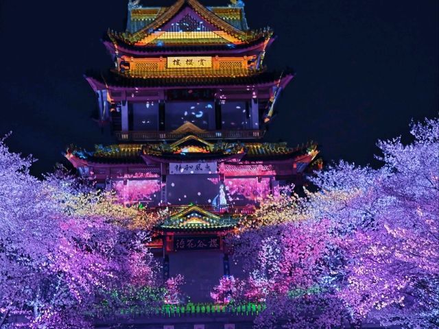 Best night Sakura - Guess where (Not japan) Best night Sakura - Guess where (Not japan)