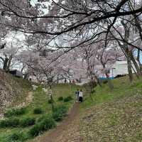 Takato Castle Ruins Park, Nagano