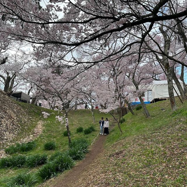 Takato Castle Ruins Park, Nagano