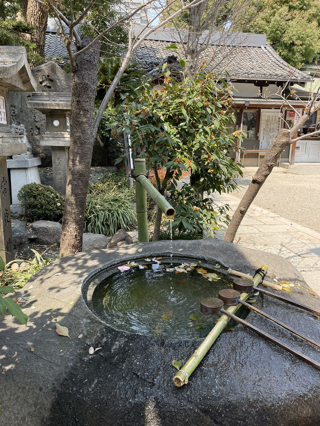 🇯🇵 Namba Yasaka Jinja