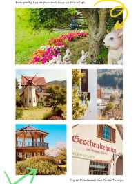 Wonye Arts Village: A Tapestry of Horticultural Artistry 