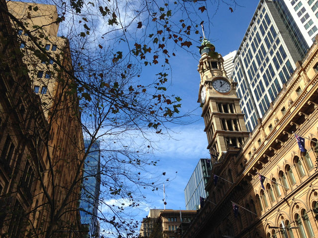 Chill Morning At Sydney