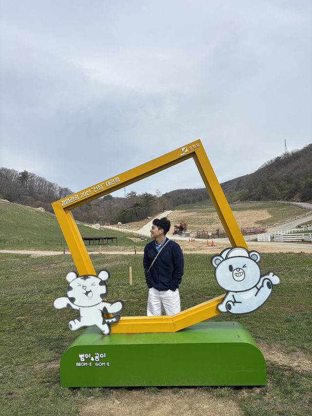 효도관광으로 가기 좋은 강원도 여행 코스⭐️