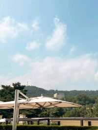 🌸 Timeless Elegance in the Heart of Seoul – The Shilla Hotel  👑