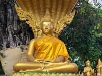 Laos Temple Beauty