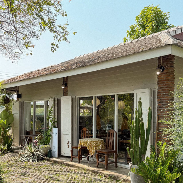 Rolls.space • San Sai, Chiangmai  🛖🌳🌼🧺🧸🌾 