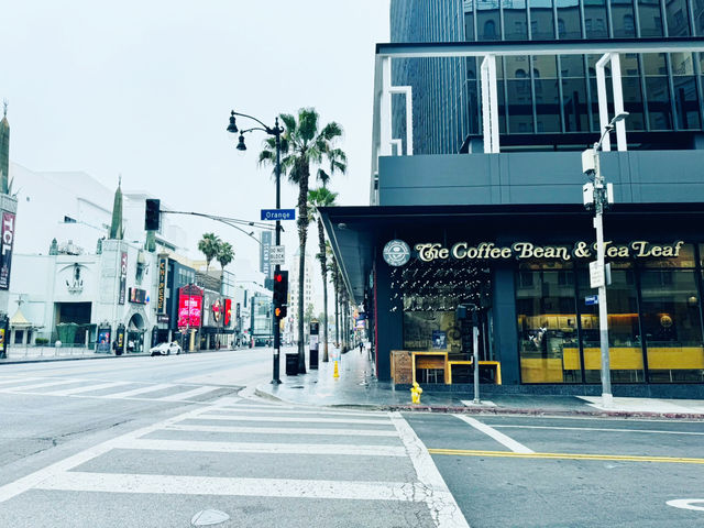 Ultimate Morning Stroll