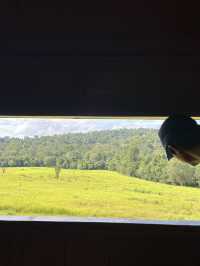 Khao Yai National Park