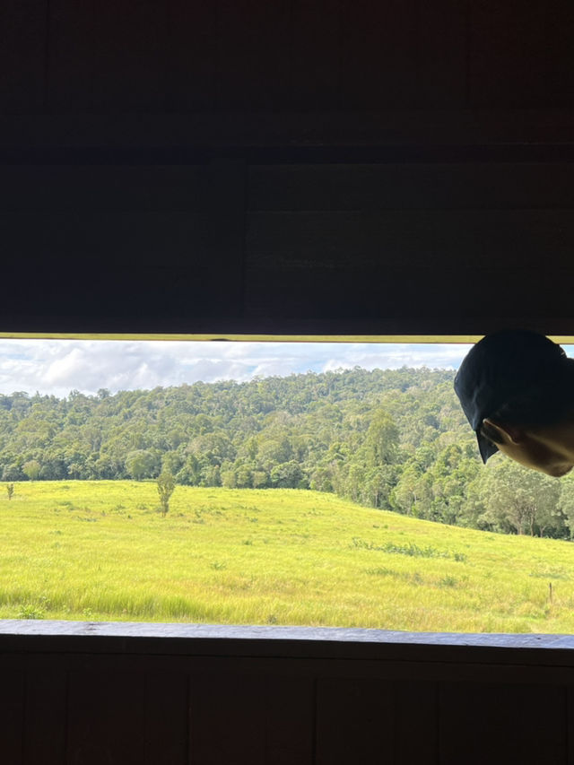 Khao Yai National Park