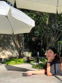 🌳 คาเฟ่โรงบ่ม-เก๊าไม้ ล้านนา เชียงใหม่วิวสวย✨☕️