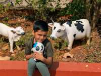 Mangalore 4 Days Travel Guide 