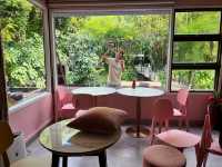 บ้านในหมง treehouse ระนอง