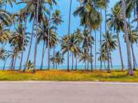 Soft white sands, calm waves