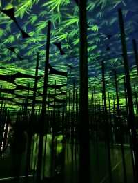 日本東京Teamlab Borderless