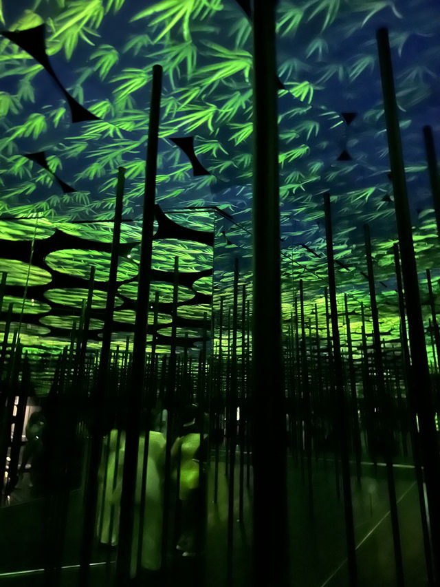 日本東京Teamlab Borderless