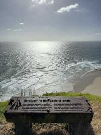 Tip of the North