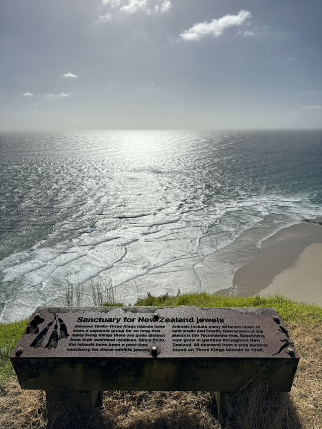 Tip of the North
