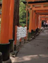 Fushimi Inari Taisha, Kyoto, Japan 🇯🇵 