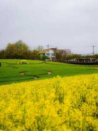 Boryeonara academy farm