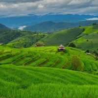 ป่าบงเปียง ทุ่งนาสีเขียวที่โคตรฮีลใจ 💚🍃
