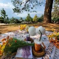 ตามหาคาเฟ่ ก้อนเมฆ ที่ THE CLOUD Chiang Dao