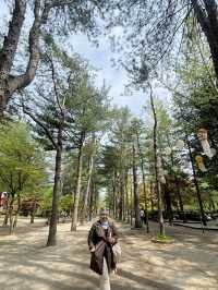 Small Budget Traveling to Seoul, Korea