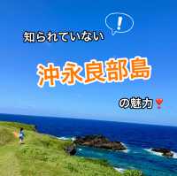 意外と知られていない！沖永良部島の魅力発見👀